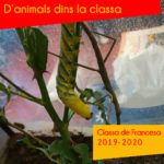 D’animals dins la classa de Francesa