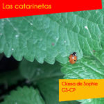 Las catarinetas